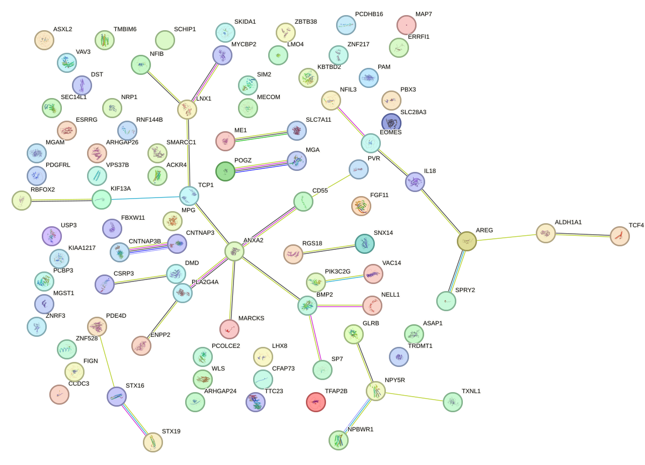 StringDB image