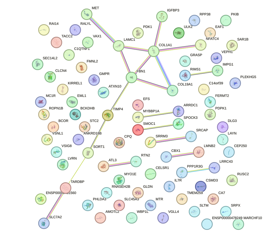 StringDB image