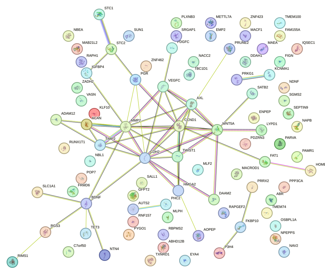 StringDB image