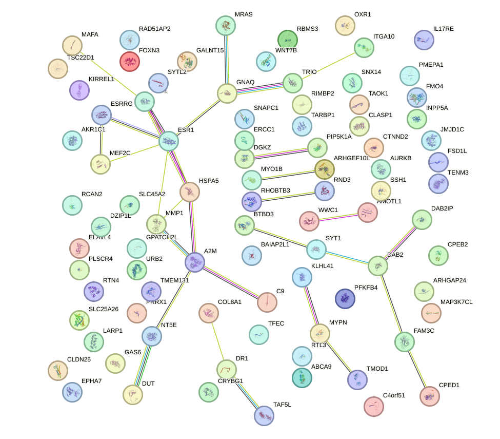 StringDB image