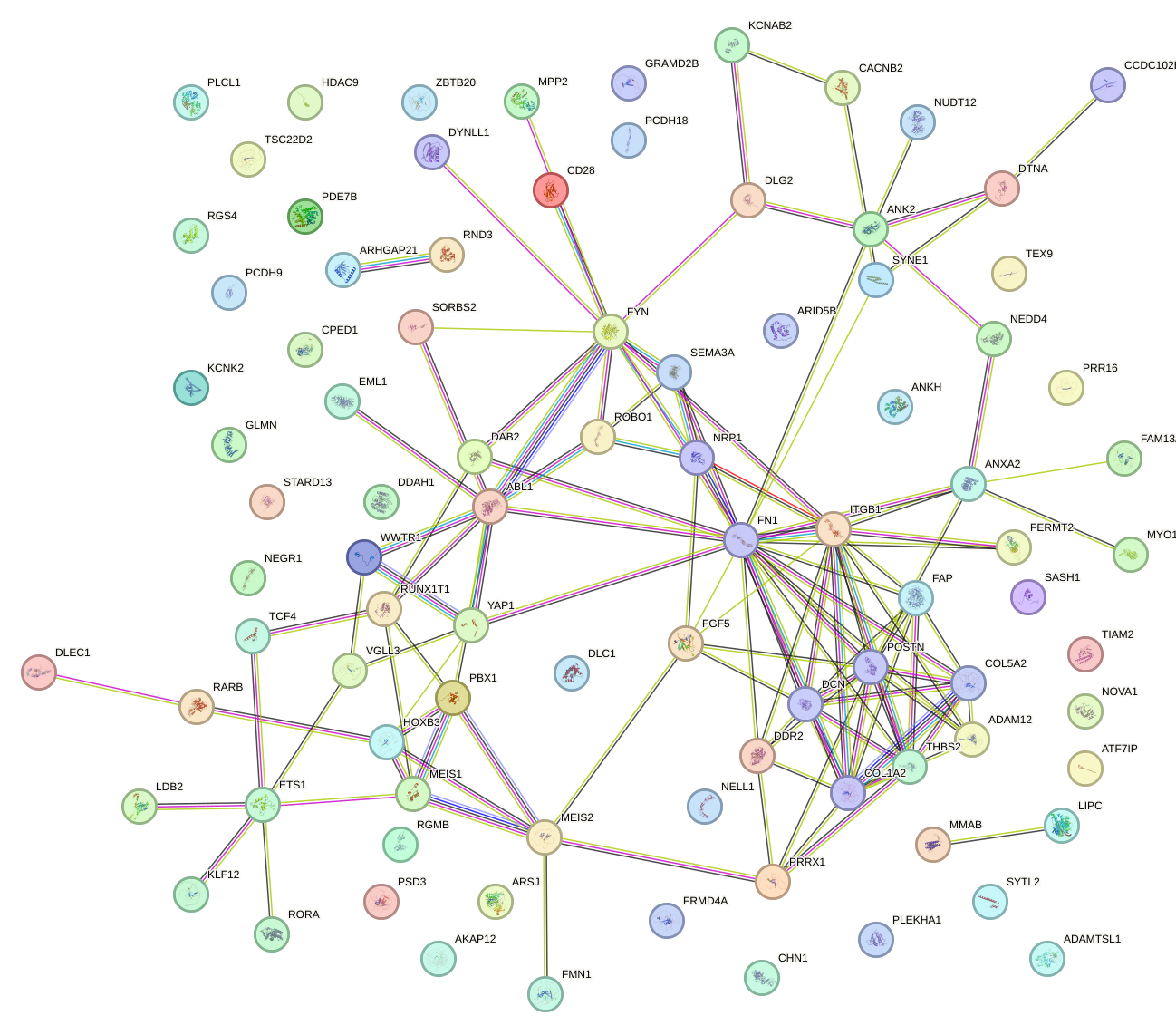 StringDB image