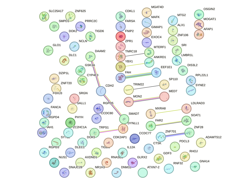 StringDB image