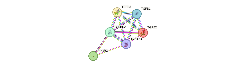 STRING Interaction Network for TGFBR2