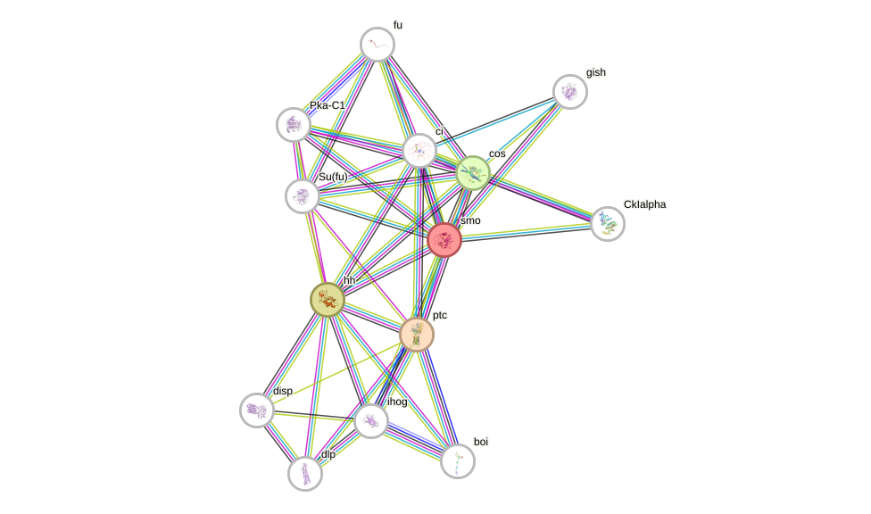 network additional nodes