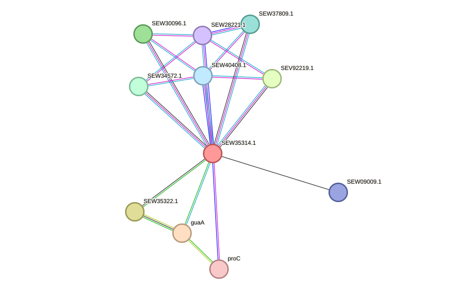 STRING protein interaction network