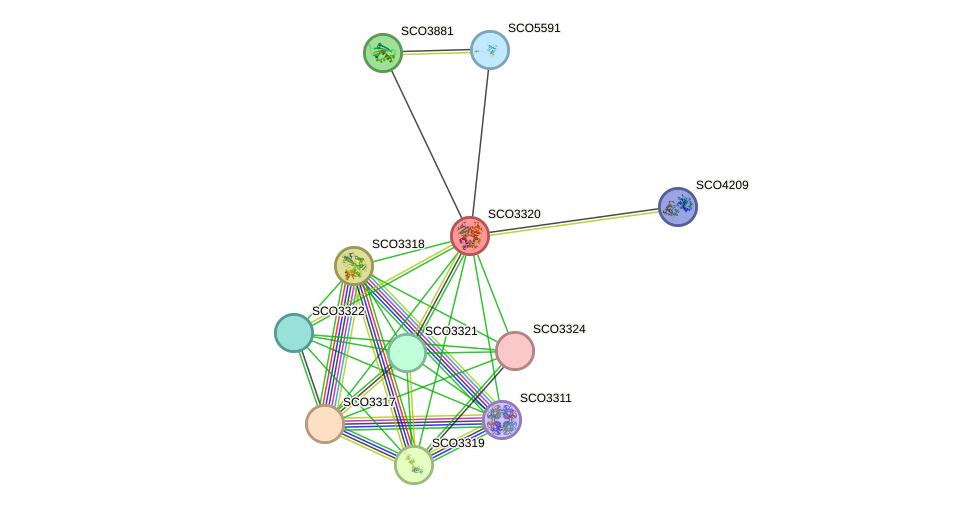 STRING protein interaction network