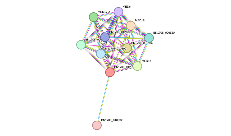 STRING protein interaction network