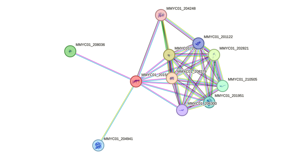 STRING protein interaction network