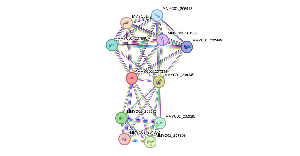 STRING protein interaction network