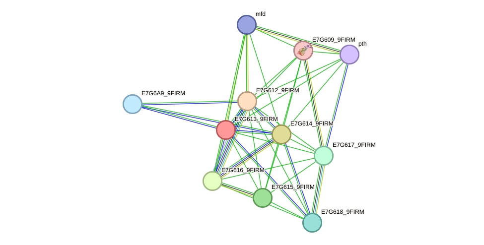 STRING protein interaction network