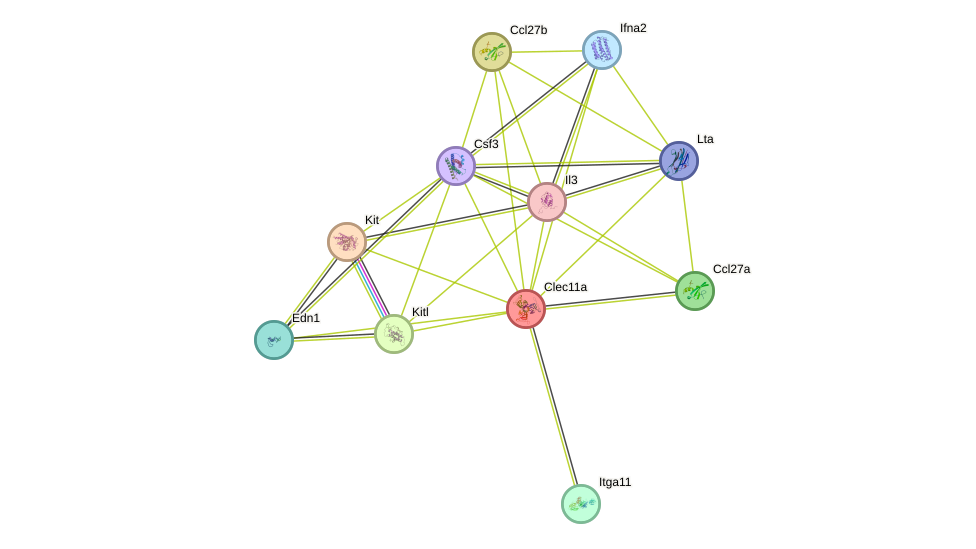 STRING protein interaction network