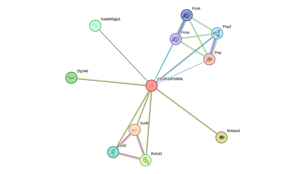 STRING protein interaction network