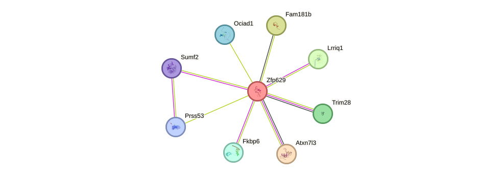 STRING protein interaction network