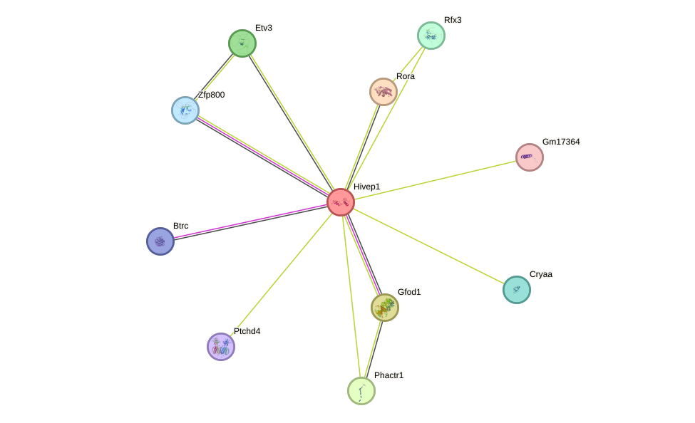 STRING protein interaction network