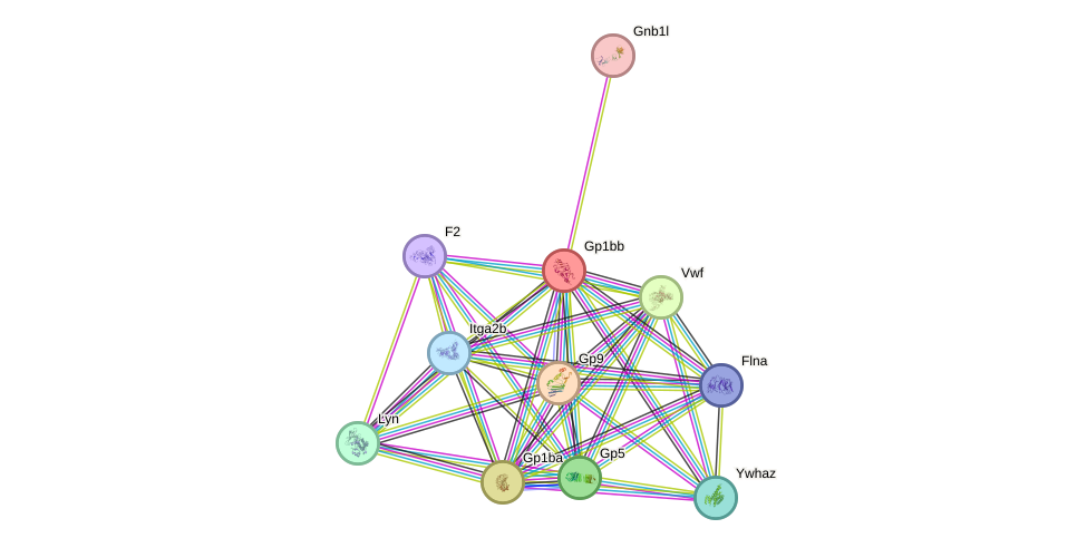 STRING protein interaction network