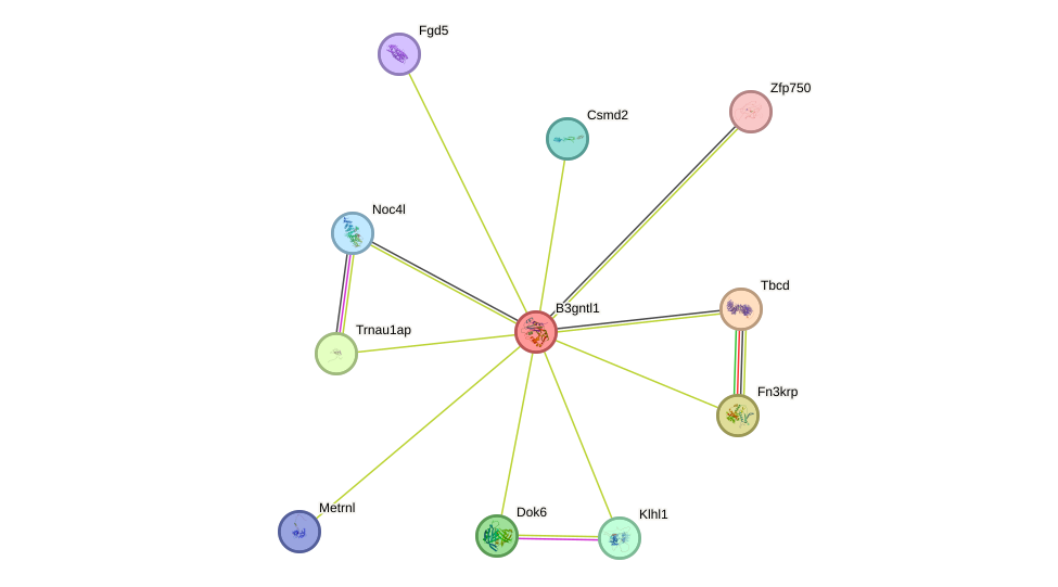 STRING protein interaction network