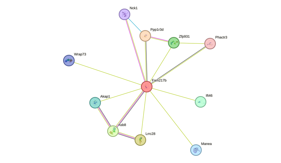 STRING protein interaction network