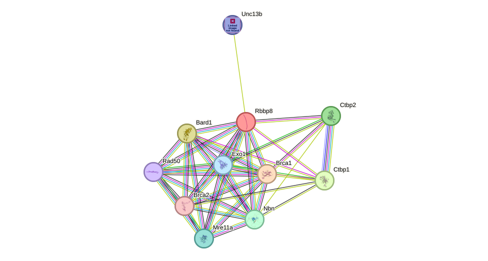 STRING protein interaction network