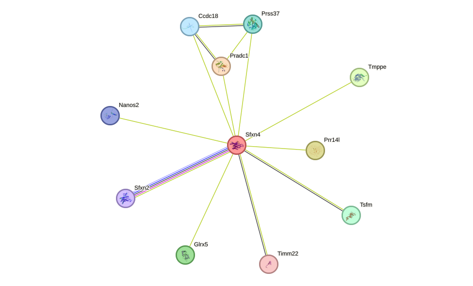 STRING protein interaction network