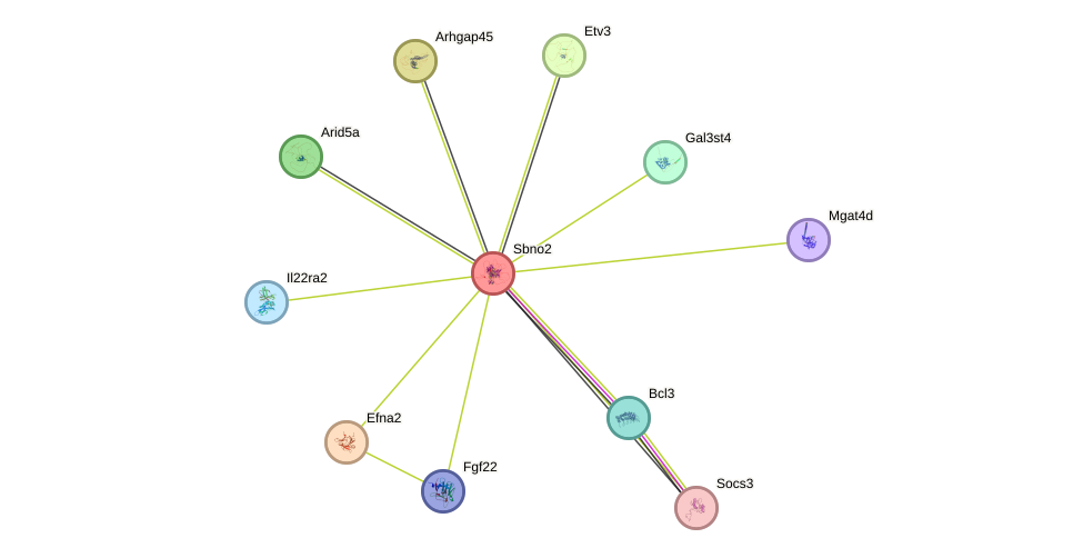 STRING protein interaction network