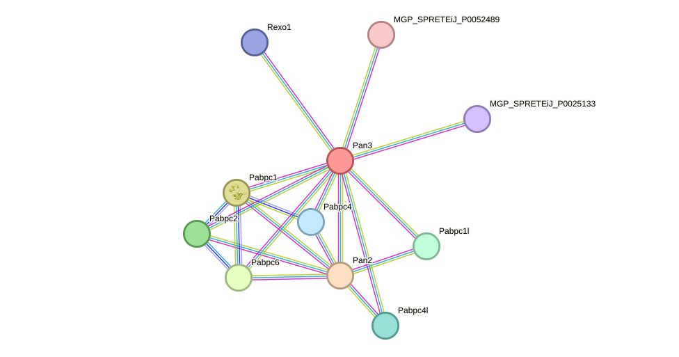 STRING protein interaction network