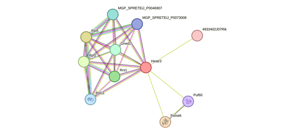 STRING protein interaction network