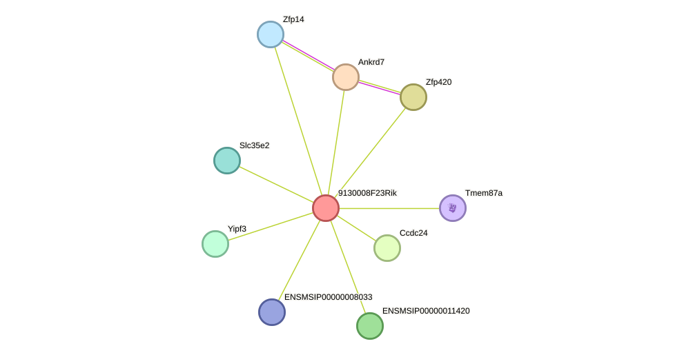 STRING protein interaction network