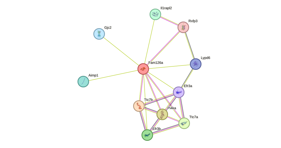 STRING protein interaction network