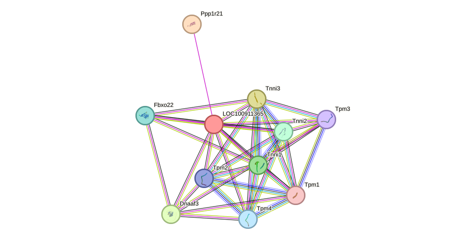 STRING protein interaction network