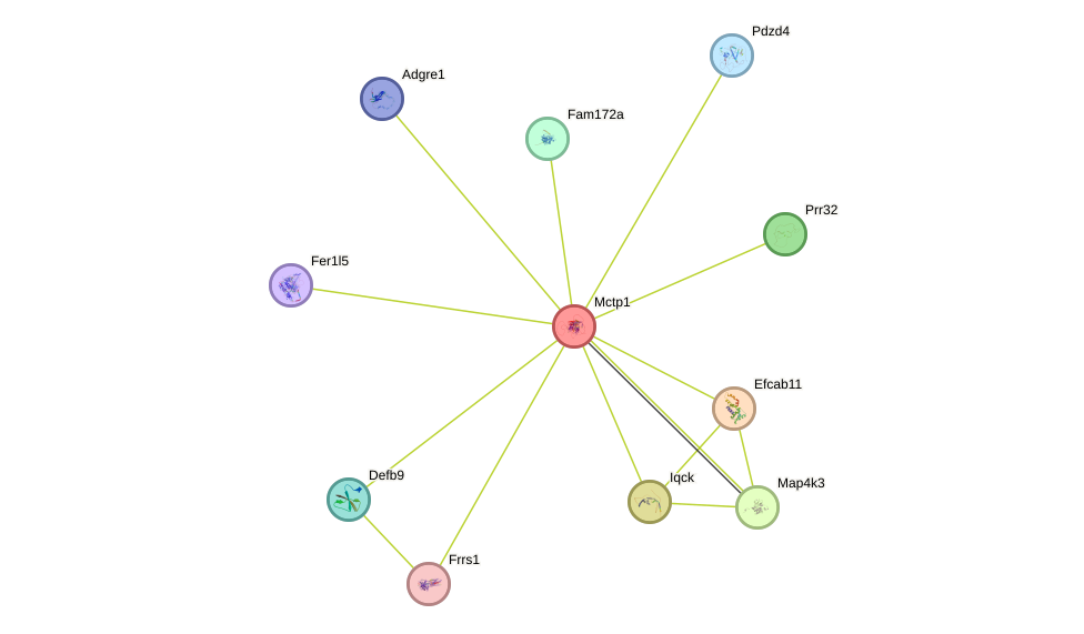 STRING protein interaction network