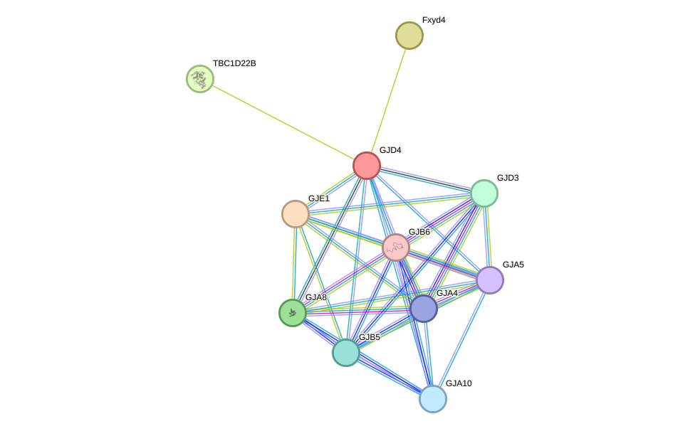 STRING protein interaction network