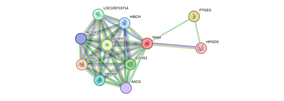 STRING protein interaction network