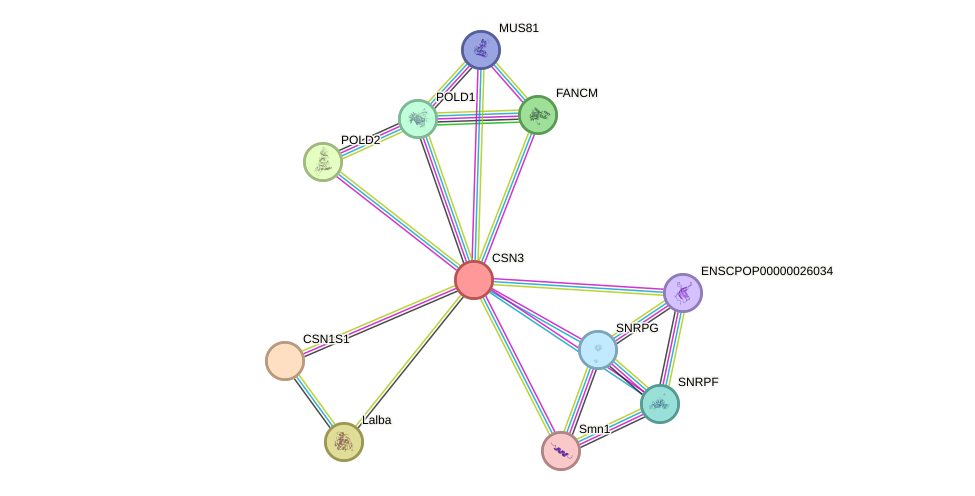 STRING protein interaction network