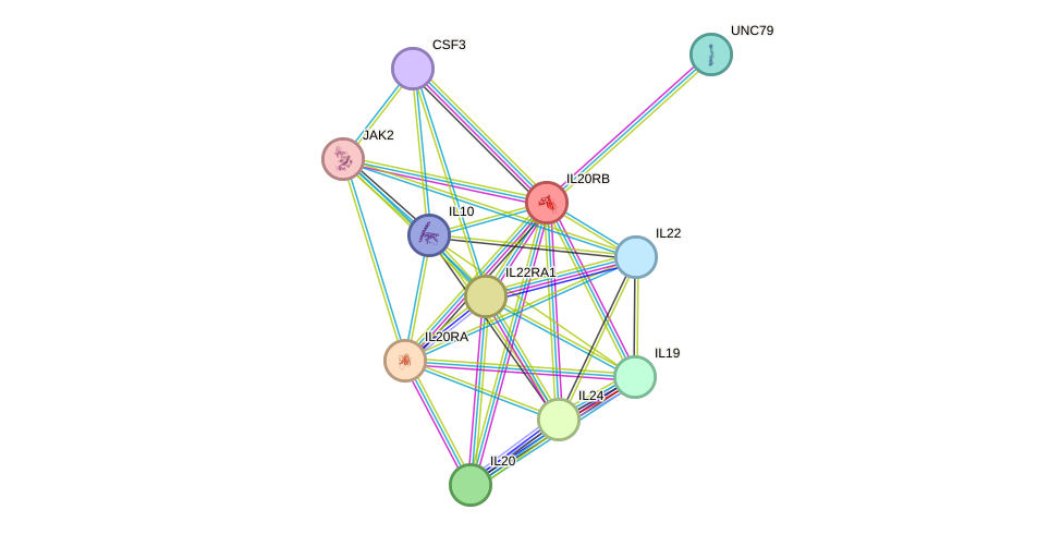 STRING protein interaction network