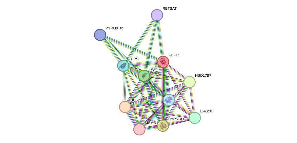 STRING protein interaction network