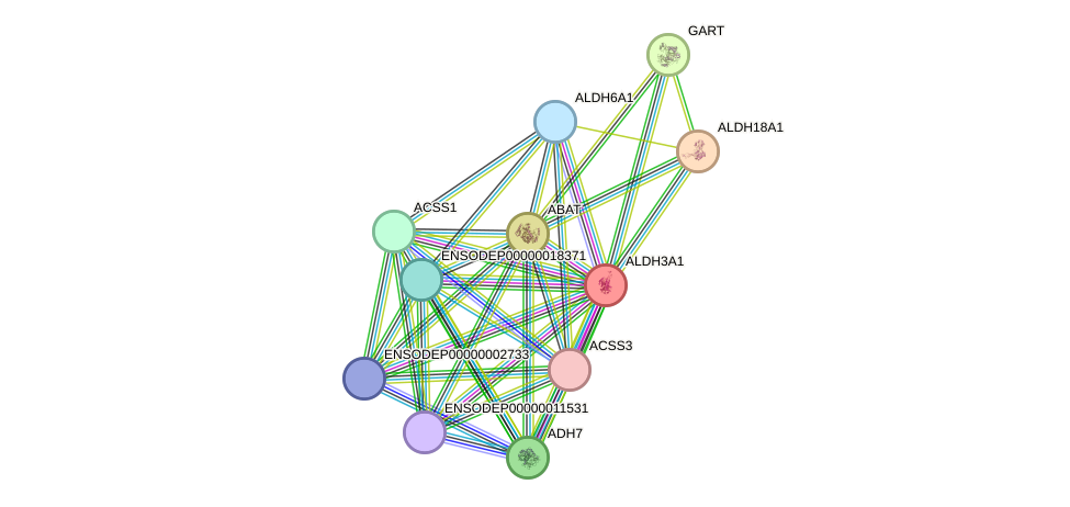 STRING protein interaction network