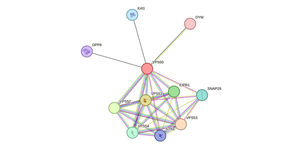 STRING protein interaction network