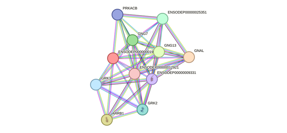 STRING protein interaction network