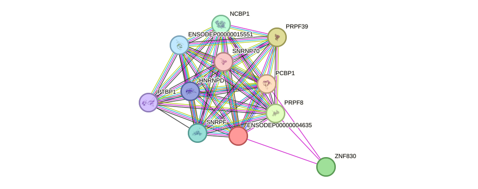 STRING protein interaction network
