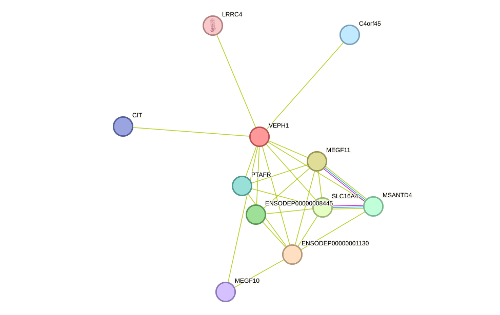 STRING protein interaction network