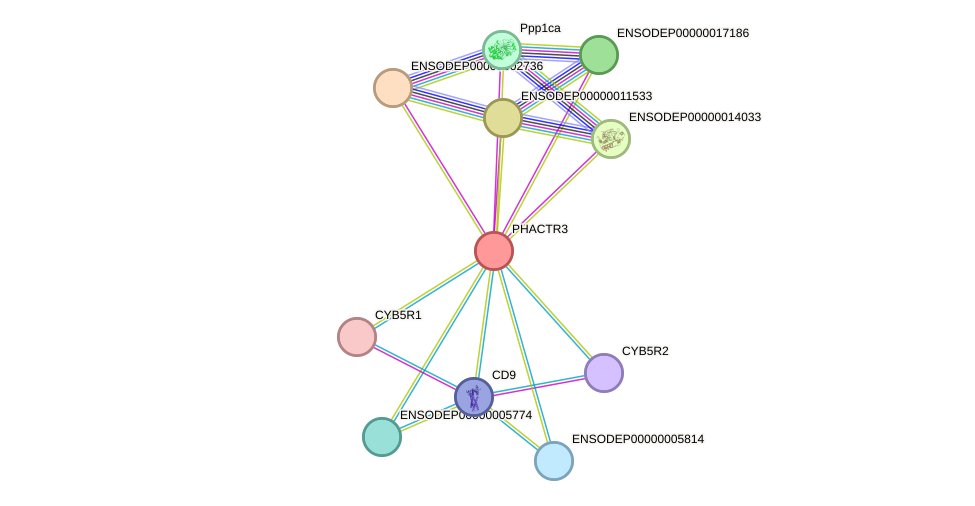 STRING protein interaction network