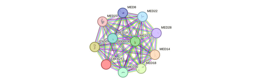 STRING protein interaction network