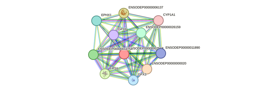 STRING protein interaction network