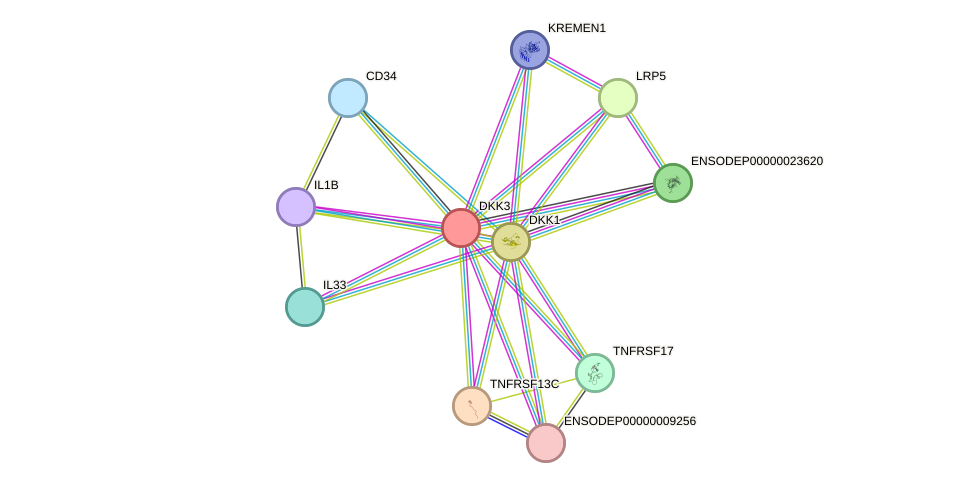 STRING protein interaction network