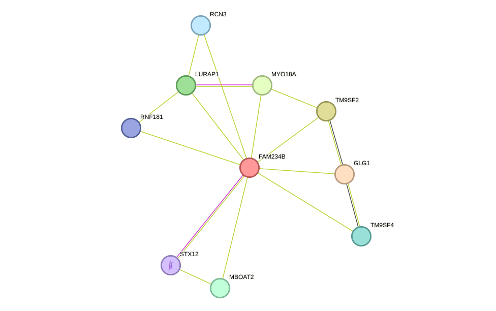 STRING protein interaction network