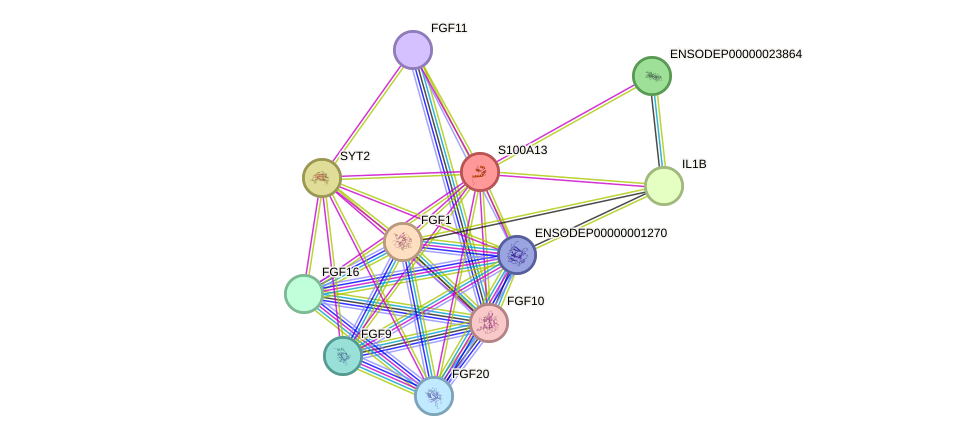 STRING protein interaction network