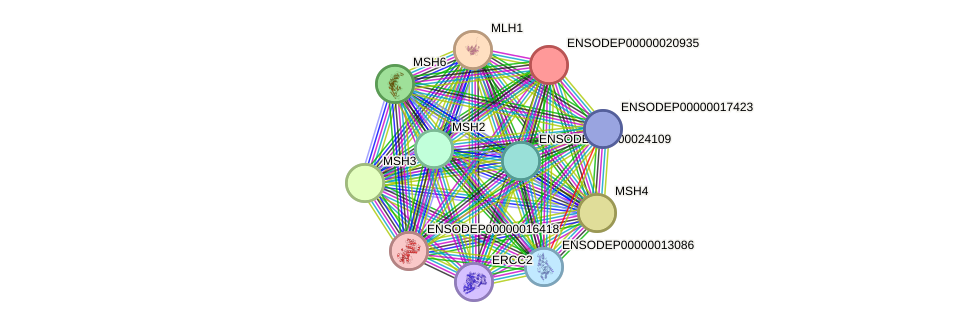 STRING protein interaction network