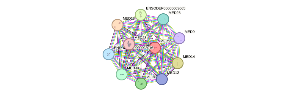 STRING protein interaction network