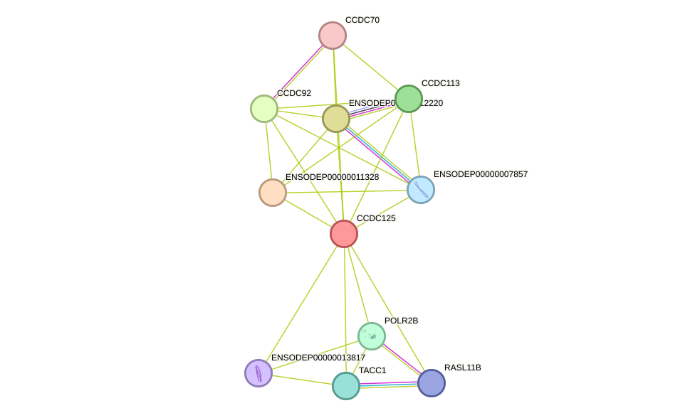 STRING protein interaction network