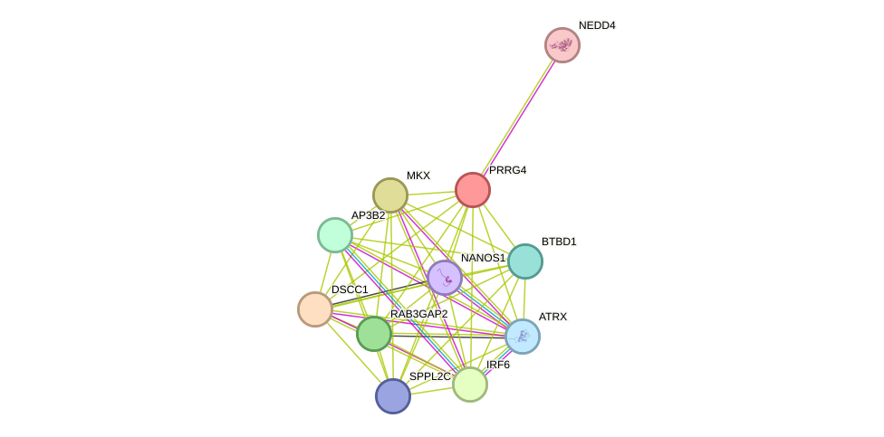 STRING protein interaction network